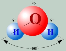 Молекула води має кутову форму: атоми водню по відношенню до кисню утворюють кут, рівний приблизно 108 °