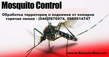 Знищення комарів на дачній ділянці має на увазі використання неодноразово перевірених і істинно ефективних методів боротьби з надокучливими комахами